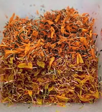 Image 2 of Sonrisa (NEW!)