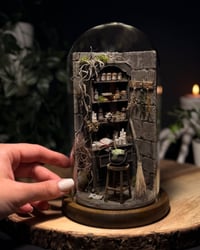 Image 11 of The Witch’s Apothecary