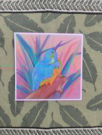 Image 1 of Common Kingfisher 6X6 Print