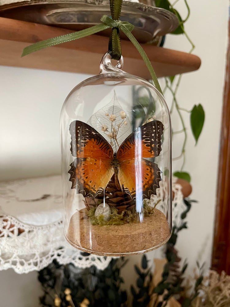 Image of Butterfly Ornament II