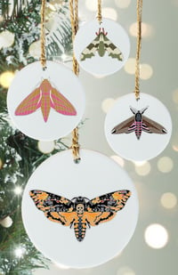 Image 1 of Hawk-moths Christmas Bauble/Keepsake