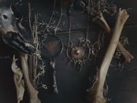 Image 4 of The philosopher 