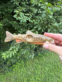 Image 2 of September PRE ORDER-  Brook Trout 