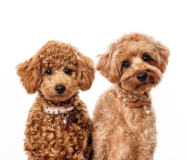 Pink Mini Me Twinning Gifting Set