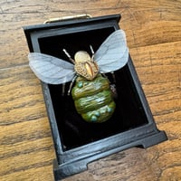 Image 3 of Pumpkin bee (b, 3 x 4 inches)