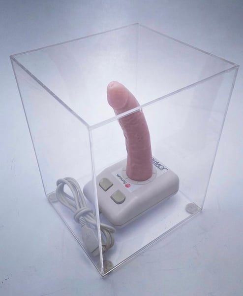 Image of SUNCUM JOYSTICK