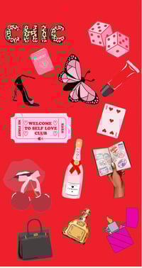 Image 1 of Chic and Wild Sticker Sheet Set