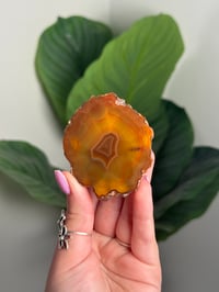 Image 1 of CONDOR AGATE -ARGENTINA- I