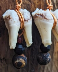 Image 3 of MOLLIFY - Deer Tooth Earrings