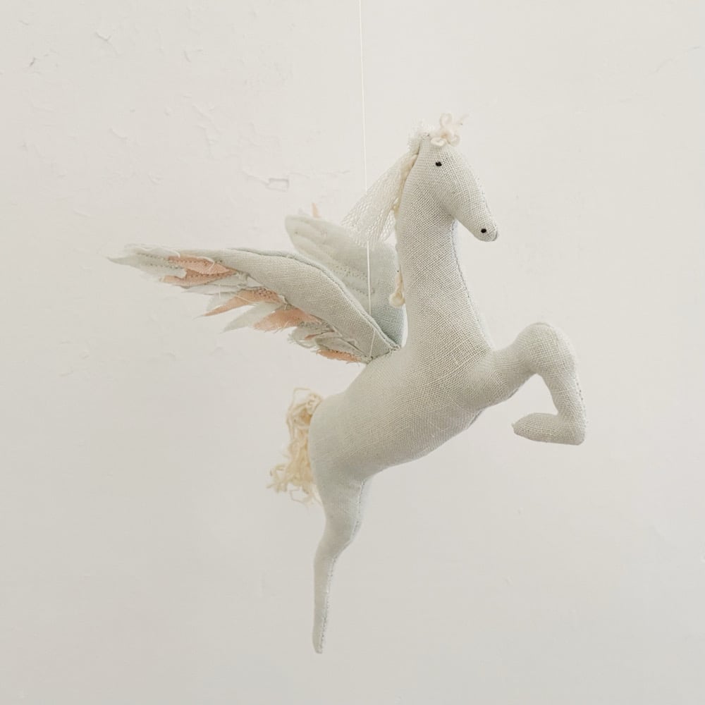 Image of Pegasus mobile 