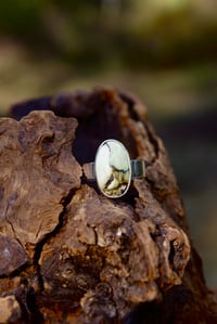Image 2 of Paint Canyon Ring | Size 9.5