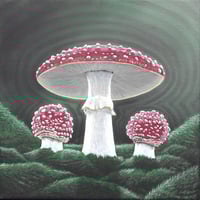 Amanita muscaria Giclée Fine Art Print