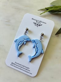 Image 2 of Dolphins