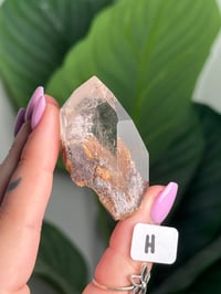 Image 8 of HALF POLISHED RAINBOW GARDEN QUARTZ FREEFORMS -BRAZIL-