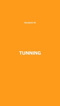 Image 1 of TUNNING