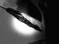 Image 10 of Broaderless Dift  Wood Mirror 