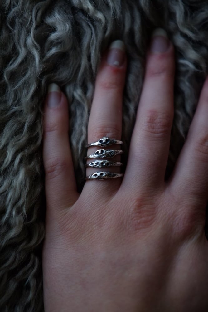 Image of Arianrhod ring • size L 1/2