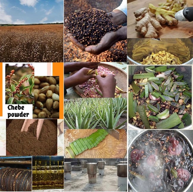 Chebe Powder Hair Growth Oil 