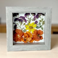 Image 2 of Chrysanthemums, Nasturtiums, and Coreopsis in a 6" X 6" Shadow Box (Item# 202502S)