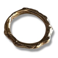 Image 3 of Golden Haze Band