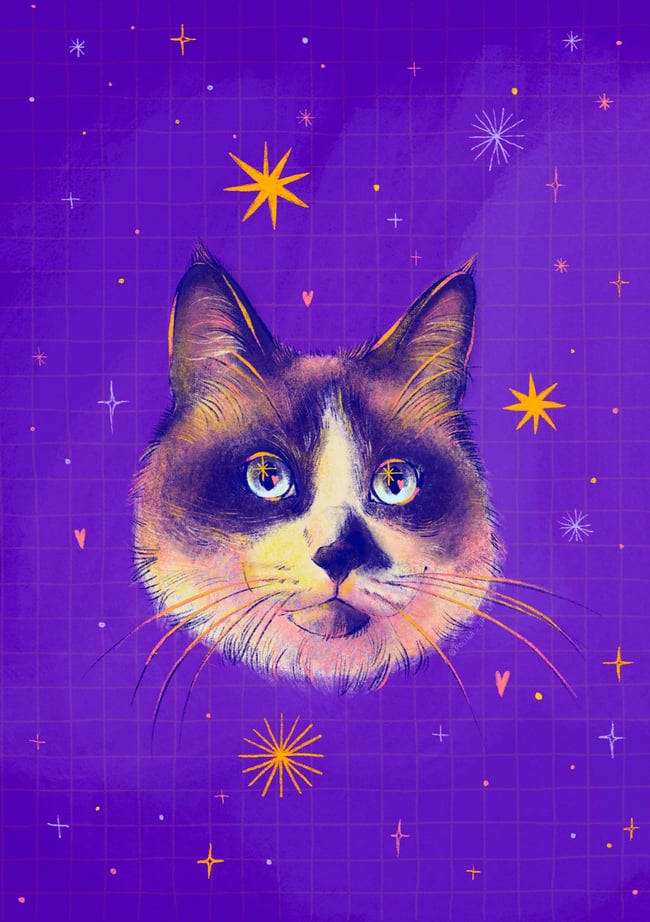 Spacey Cat Face Commission DIGITAL FILE ONL