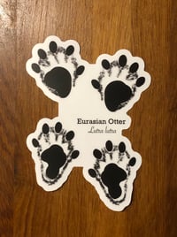 Image 1 of Eurasian Otter Four Paw Sticker