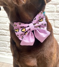 Image 6 of Wild at Heart, Valentine Animal print Bow Ties / Sailor Bows