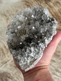 Image 7 of Smoky Quartz Cluster | Brazil #2985