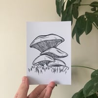 Image 4 of Mushroom Postcard Print - set of 4