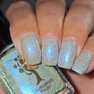 Image of Slam dunk da funk