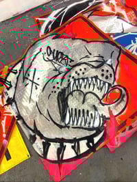 Shiny Foo
