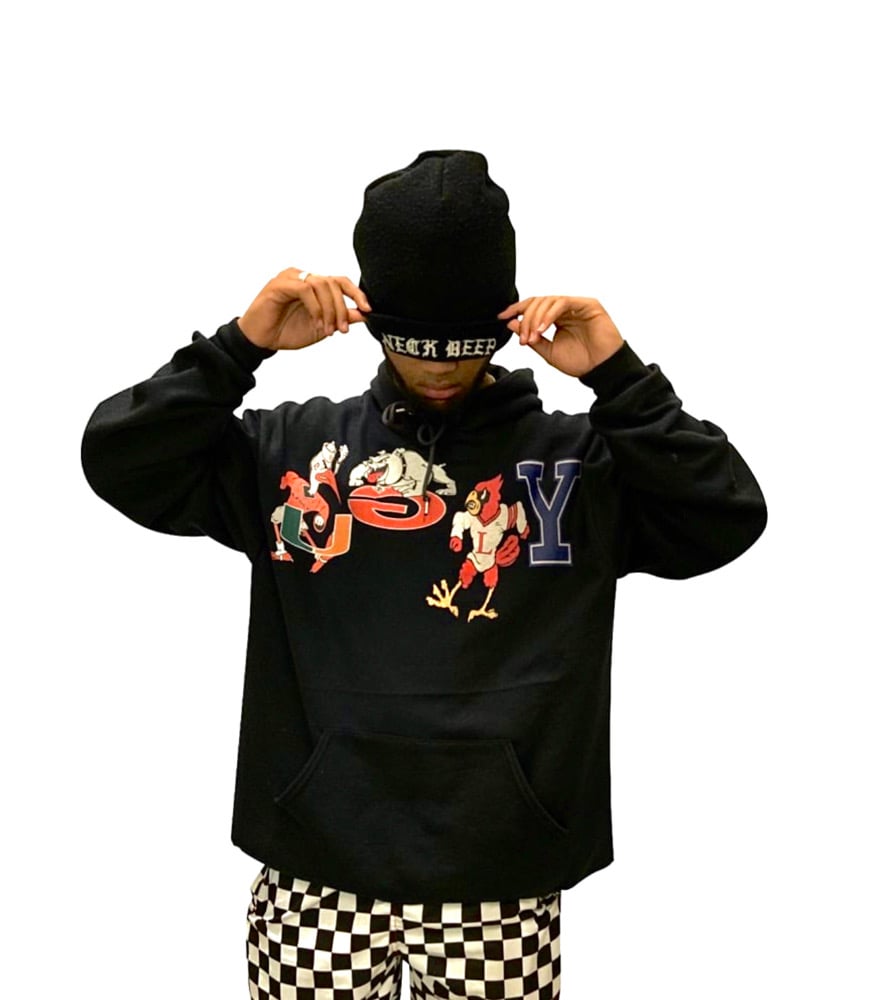 Image of COLLEGE GAMEDAY HOODIE