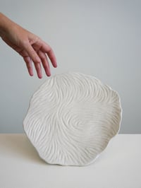 Image 1 of Assiette 3