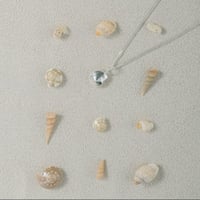 Image 2 of Silver Periwinkle Shell Set