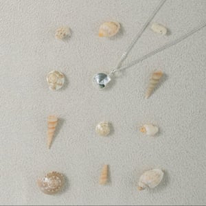 Image of Silver Periwinkle Shell Set