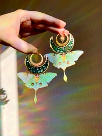 Image 2 of 🌙💚Luna Moths💚🌙