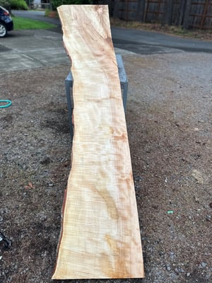 curly silver maple slab 1