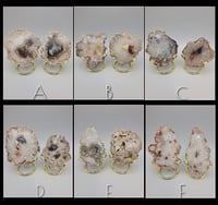 Image 2 of Set of 2 Argentine Agate Small Crystal Slices - 6 styles 