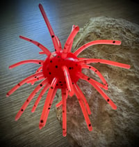 Image 3 of “SWEETGUM” - MERTHOLIATE