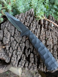 Image 2 of G10 COMPANION