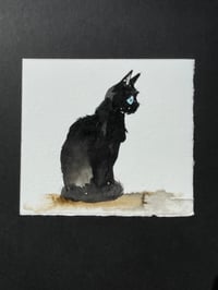Image 3 of Inky - Kitty Cat Study