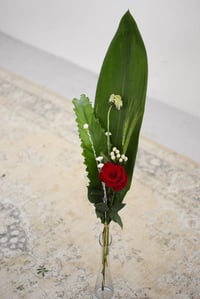 Image 2 of Rosa de Sant Jordi - La diferent 