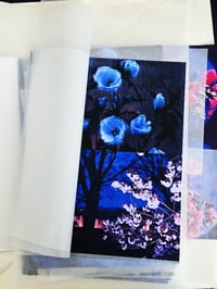 Image 2 of HIBISCUS 