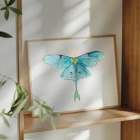 Image 6 of Luna Moth Watercolor Illustration PRINT 