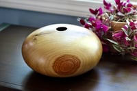 Image 4 of Oak Wood Hollow Form - Thin