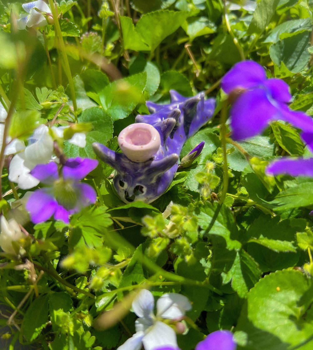 Image of slug tea party fwend