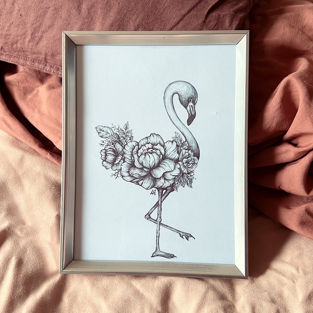 Image of Peony Flamingo