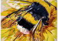 "B" Framed Limited Print