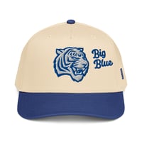 Image 4 of TSU REP YO YARD HAT