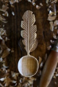 Image 11 of Feather Scoop 
